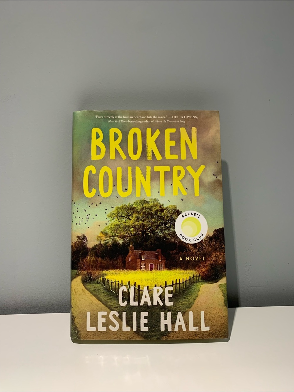 Broken Country by Clare Leslie Hall in Hardcover